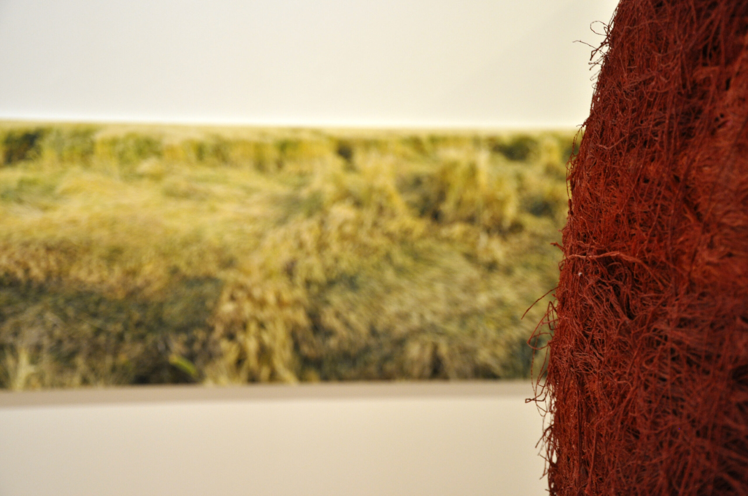 Fotografía y Bola 1